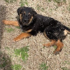 Meet your Posher, Danielle